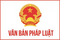 Quyết định Quy định về cấp giấy phép xây dựng tại tỉnh Bình Định