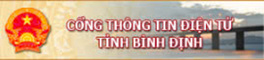 CỔNG THÔNG TIN ĐIỆN TỬ BÌNH ĐỊNH