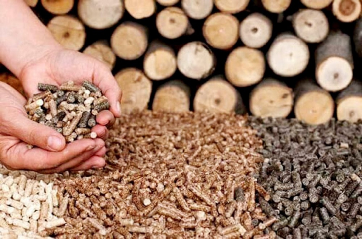 Phê duyệt nhiệm vụ quy hoạch chi tiết xây dựng tỷ lệ 1/500  Nhà máy sản xuất viên nén gỗ (Wood Pellet) Nguyệt Anh